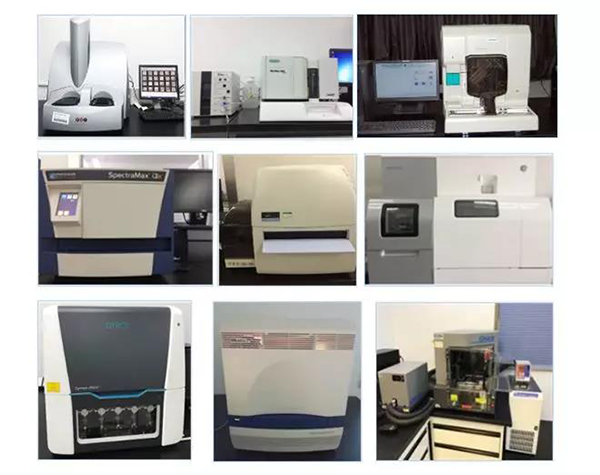 人生就是博生物技术药物分析部门拥有SpectraMaxM4/M5/i3x, MSD, Luminex, Biacore 8K, Envision, Gyrolab，ABI7500 qPCR等全方位多功能的技术平台，利用LIMS系统实施全面的实验室信息化管理，提供全面符合FDA/CFDA/OECD GLP规范要求的生物技术药物分析服务。