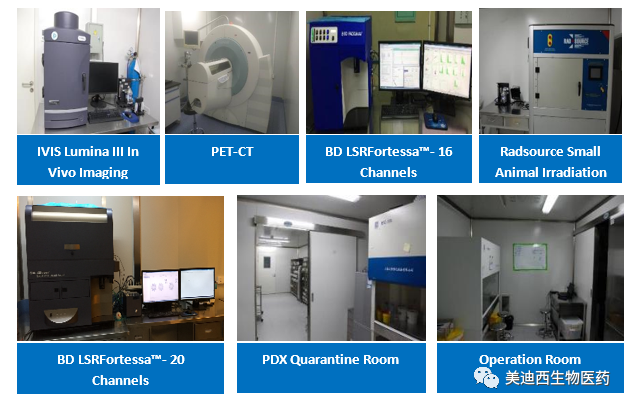 人生就是博药理部拥有IVIS Lumina III, PET-CT, BD LSRFortessa-16, Flow Cytometry等仪器，提供符合申报，支持临床试验的药效评价服务。