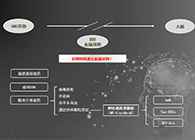 人工合成NT类脂质开放血脑屏障，为CNS药物打开新局面