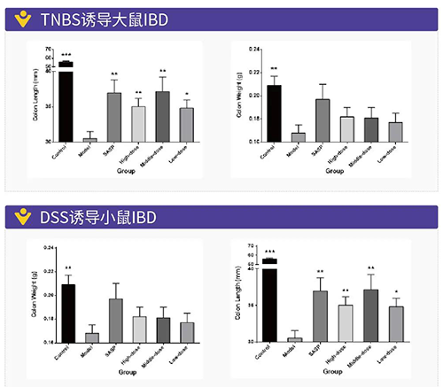 TNBS诱导的大鼠IBD、DSS诱导的大鼠IBD