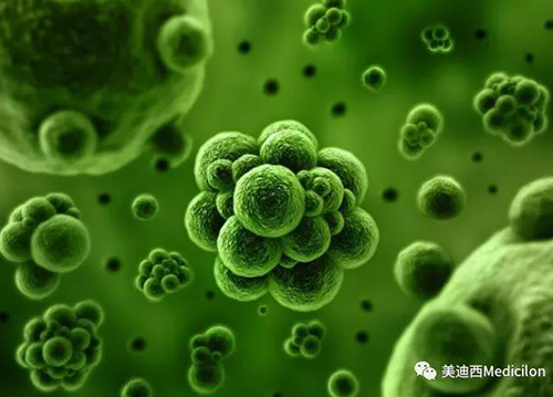 1分钟，全中国就有7.5人被确诊为患癌 人生就是博生物医药