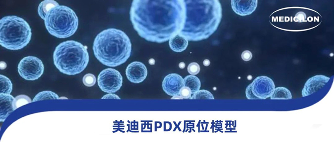 人生就是博118种PDX原位模型，助力肿瘤药物研发.webp