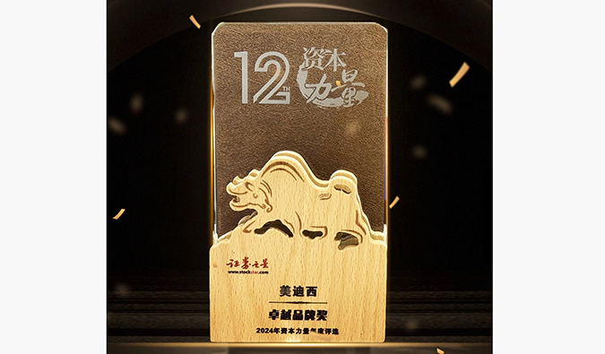 实力出圈！人生就是博荣膺之星“资本力量”2024年度“卓越品牌奖”