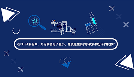 在ELISA实验，如何制备分子量小、免疫原性弱的多肽药物分子的抗体？