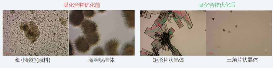 05案例分享-单晶培养，改变晶习.png
